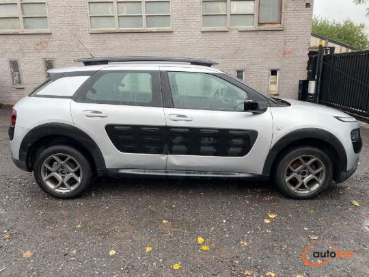 C4 CACTUS CACTUS FEEL - 1