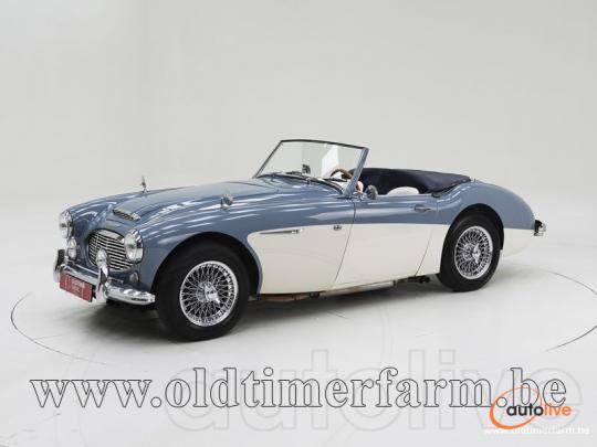 Austin Healey 100/6 BN4 '59 CH4084 - 1