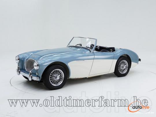 Austin Healey 100/4 BN 1 '54 CH4168 - 1