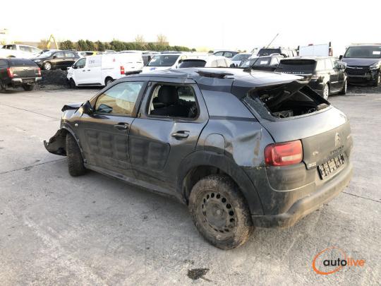 C4 CACTUS 1.2 HMZ - 1