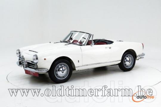 Alfa Romeo 1600 Giulia Spider '65 CH6255 - 1