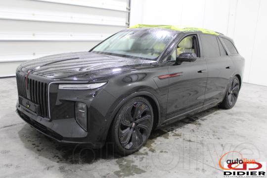 HONGQI E-HS9 - 1
