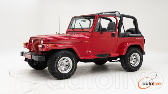 Jeep Wrangler Edition 4.0 '93 CH9252 - 1