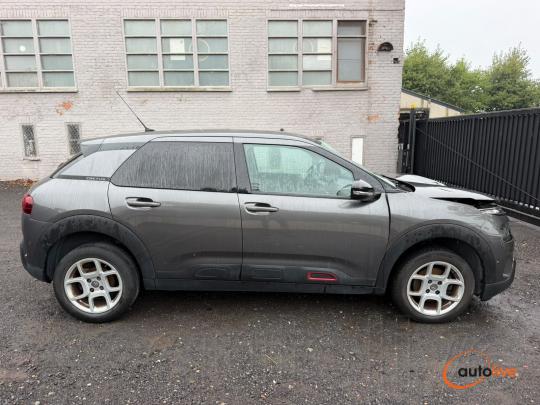 CITROï¿½N C4 CACTUS CACTUS FLAIR - 1